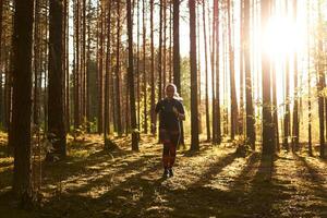 jong vrouw jogging in een pijnboom Woud foto