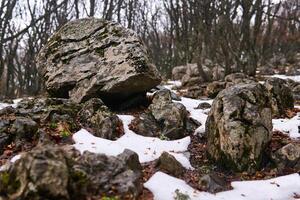stenen ontdooid uit van onder de sneeuw in een voorjaar berg Woud foto