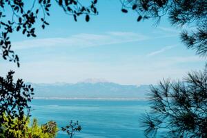 zee baai met een ver weg bergachtig kust, visie van de berg door de takken van bomen Aan de kust van Antalya foto