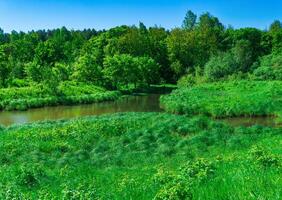 klein Woud rivier- tussen banken met ven-weiden foto