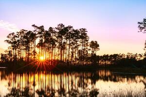 Everglades zonsondergang Florida foto