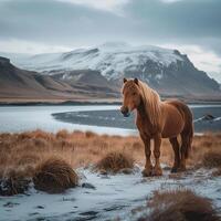 ai gegenereerd iconisch IJslands landschap met majestueus paard temidden van verbijsterend landschap voor sociaal media post grootte foto