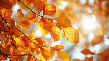 ai gegenereerd oranje vallen bladeren in park, zonnig herfst natuurlijk achtergrond foto