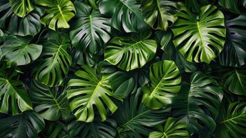 ai gegenereerd monstera muur. tropisch groen bladeren, bloemen patroon achtergrond foto