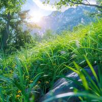 ai gegenereerd perfect zonnig dag in lente, ideaal voor buitenshuis activiteiten voor sociaal media post grootte foto