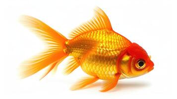 ai gegenereerd goud vis geïsoleerd Aan wit achtergrond foto