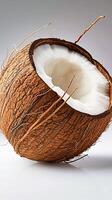 ai gegenereerd veelzijdig ontwerp element kokosnoot Aan wit achtergrond met knipsel pad verticaal mobiel behang foto