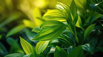 ai gegenereerd natuur van groen blad in tuin Bij zomer. natuurlijk groen bladeren planten gebruik makend van net zo voorjaar achtergrond Hoes bladzijde milieu ecologie of groen behang foto