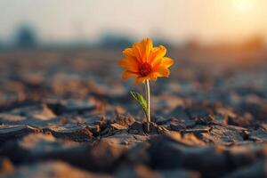 ai gegenereerd optimisme in tegenslag conceptuele beeld beeldt af bloem groeit in droogte foto