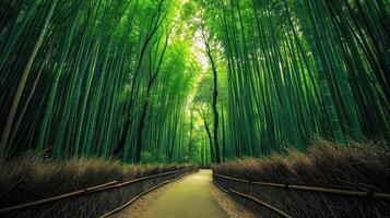 ai gegenereerd pad winden door een bamboe Woud foto