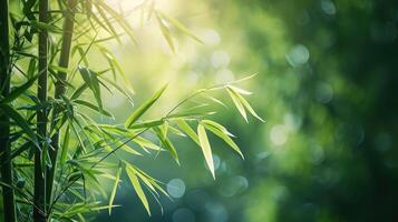 ai gegenereerd natuur van groen bamboe boom in Woud gebruik makend van net zo achtergrond bamboe bladeren foto