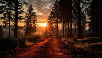 ai gegenereerd zonsondergang over- de Woud, natuur schoonheid geopenbaard gegenereerd door ai foto