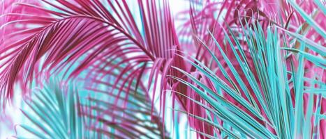 ai gegenereerd een gedetailleerd visie van een palm boom met roze en blauw tinten foto