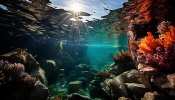 ai gegenereerd onderwater- avontuur vis, rif, scuba duiken, koraal gegenereerd door ai foto