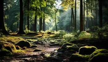 ai gegenereerd rustig tafereel van een mistig Woud in herfst gegenereerd door ai foto