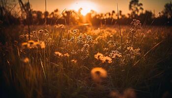 ai gegenereerd zonsondergang over- een weide, gras gloeiend in de zomer zonlicht gegenereerd door ai foto