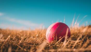 ai gegenereerd spelen krekel Aan een zonnig dag, raken bal Aan gras gegenereerd door ai foto