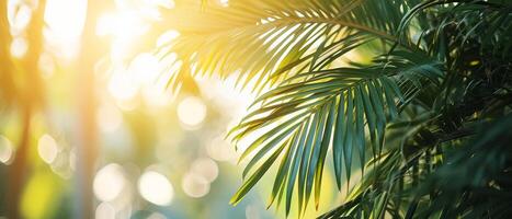 ai gegenereerd gouden zonlicht filters door tropisch palm bladeren, creëren een warm foto
