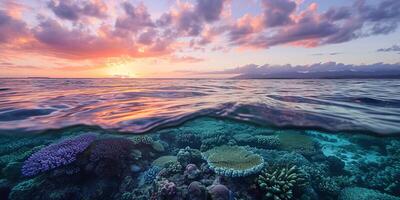 ai gegenereerd Super goed barrière rif Aan de kust van koninginneland, Australië zeegezicht. koraal marinier ecosysteem onderwater- spleet visie, gouden uur zonsondergang avond lucht behang achtergrond foto