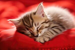 ai gegenereerd katje slapen Aan de rood hart vormig hoofdkussen foto