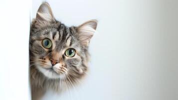 ai gegenereerd Siberisch kat gluren in de omgeving van hoek 4 foto