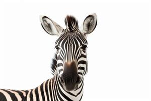 ai gegenereerd zebra geïsoleerd Aan wit achtergrond foto