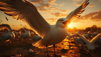 ai gegenereerd zeemeeuw vliegend vrij in natuur, zonsondergang verlicht haar gevederde Vleugels gegenereerd door ai foto