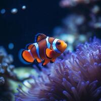 ai gegenereerd een clown vis zwemmen in een aquarium foto