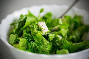 vers groen sla salade met Mozzarella en kruiden in een kom foto