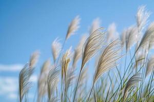 ai gegenereerd een bundel van hoog gras blazen in de wind foto