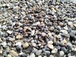 grijs grind stenen voor de bouw industrie. heuvel van graniet grind, stenen, verpletterd steen detailopname. ruw naadloos textuur, bouw materiaal achtergrond. foto