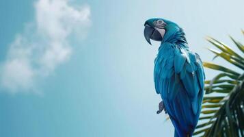 ai gegenereerd mooi blauw groot papegaai Aan een tropisch achtergrond. foto
