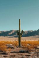 ai gegenereerd een sereen, minimalistische woestijn landschap met een eenzaam cactus onder een Doorzichtig lucht foto