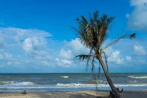 golven op het strand foto