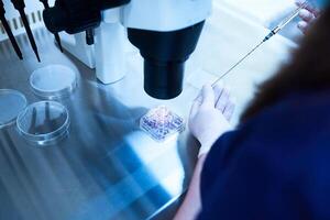 uitrusting Aan laboratorium van bevruchting, ivf. microscoop van voortplantings- geneeskunde kliniek bemesting ei buiten vrouw lichaam. ziekte laboratorium Onderzoek foto