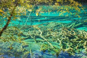 kleurrijk meer, jiuzhaigou nationaal park, sichuan provincie, China, UNESCO wereld erfgoed plaats foto