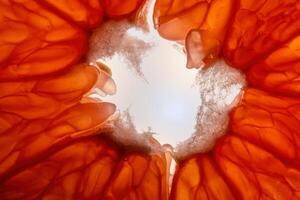 macro structuur van sappig grapefruit met abstract elementen foto