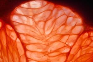 macro structuur van sappig grapefruit met abstract elementen foto