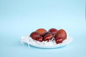 rood kip en kwartel Pasen eieren liggen Aan een wit bord. blauw achtergrond foto