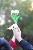 een persoon Holding een boeket van wit bloemen foto