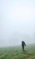 cowboy Mens wandelen tussen mistig Woud met ruimte voor tekst foto