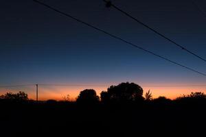 mooi zonsondergang met schaduw van bomen en elektriciteit kabels. foto