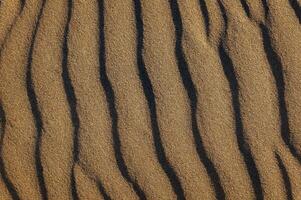 mooi achtergrond van zand duinen gevormd door de wind Aan de strand, met ruimte voor tekst foto
