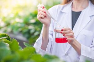 detailopname wetenschapper Ontdek vloeistof chemisch formule extract van fabriek werk in biologisch landbouw boerderij foto