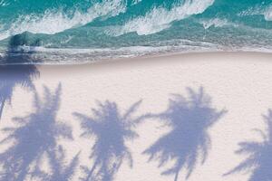 palm boom schaduwen Aan een wit zanderig strand door turkoois zee foto