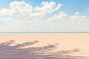 palm boom schaduw Aan zanderig strand met blauw lucht en wolken foto