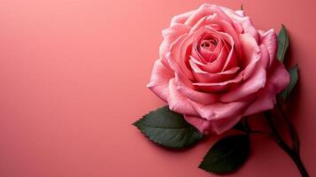 ai gegenereerd een roze roos Aan een roze achtergrond foto