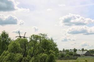 groen veld- in de buurt Woud foto