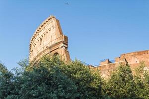 colosseum in rome, Italië foto