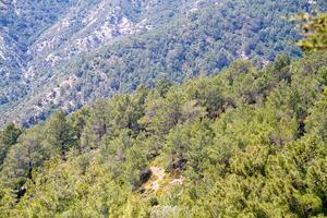 hoge berg en rotsen in griekenland rhodos foto